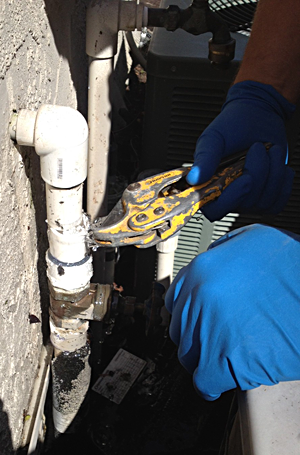 Coral Gables plumbing associate removes corroded pipe