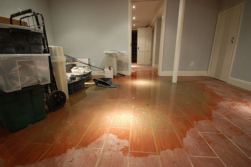 Flooded basement needs Coral Gables plumbing repairs today